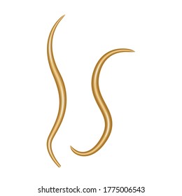 Parasites vector icon.Cartoon vector icon isolated on white background parasites.