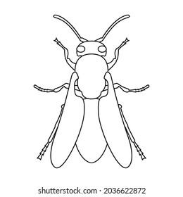 Los parásitos son un icono vectorial.Icono vector de contorno aislado en parásitos de avispa de fondo blanco.