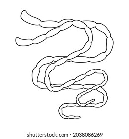 Icono de vector de gusanos parásitos.Icono de vector de contorno aislado en parásitos de fondo blanco.