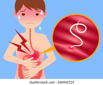 parasitic worm and food poisoning. anisakis. anisakiasis.