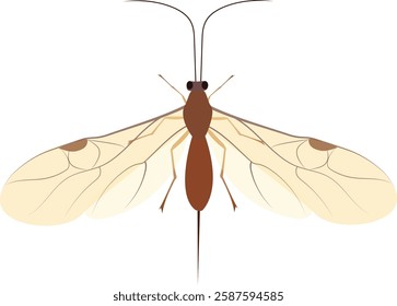 Parasitoid wasps are a large group of hymenopteran superfamilies. As parasitoids, they lay their eggs on or in the bodies of other arthropods, sooner or later causing the death of these hosts. 