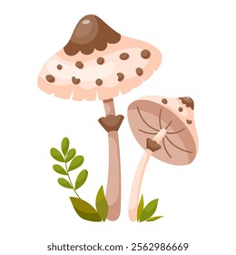 Parasol mushroom, long-stalked mushroom with white flesh. Edible forest mushroom. Forest grass and leaves. Cartoon vector illustration on a white background.