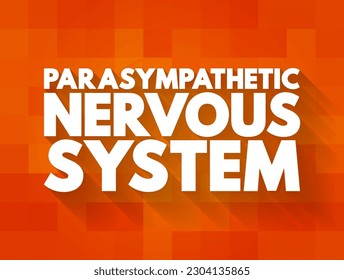 Parasympathetic Nervous System - network of nerves that relaxes your body after periods of stress or danger, text concept background