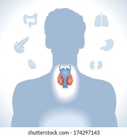 Parathryroid. Modern medical infographics. Internal organs in a human body. Anatomy of people