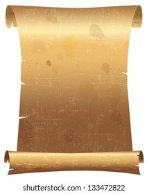 parchment scroll vector