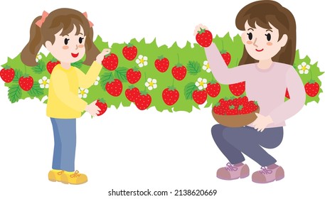 Parent and child doing strawberry picking.