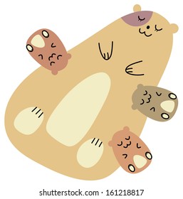 Parent and child of hamster