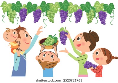 Parents and children enjoying grape picking on a holiday