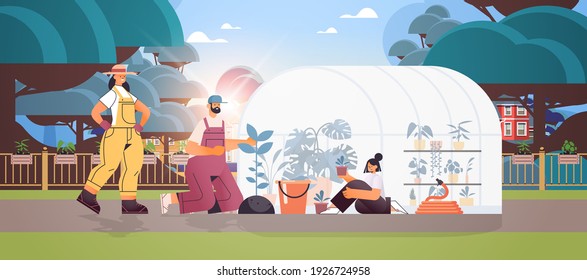 parents and daughter taking care of plants family working together in greenhouse gardening concept full length horizontal vector illustration