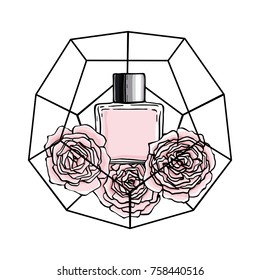 Parfum and roses in geometrical terrarium. Vector illustration. 