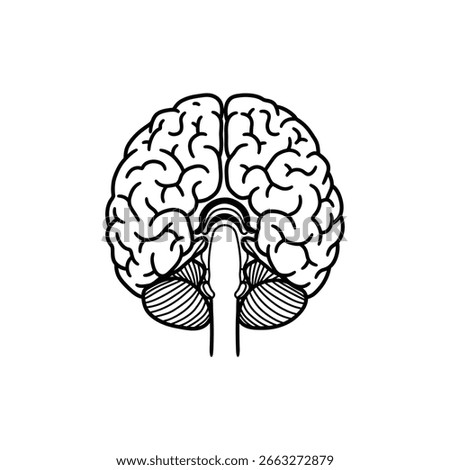 Parietal Lobe Top-Back Brain Area for Neuroscience Illustration
