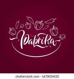 parika lettering vector illustration draw