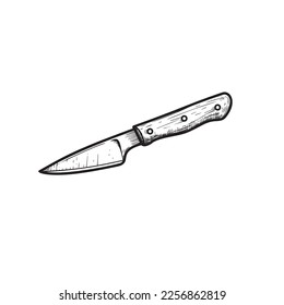 Paring knife with wooden handle. Butcher and kitchen utensil. Chef's tool. Hand drawn sketch style drawing. Vector illustration.