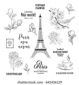 Paris romantic collection. Spring tour elements set with birds, flowers and eiffel tower. Calligraphic sign bundle of paris. Vector illustrations.