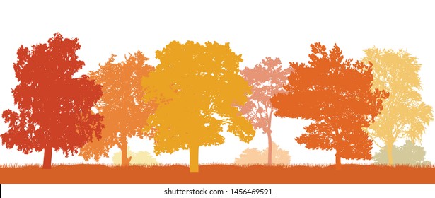 Park In Autumn, Beautiful Silhouettes Autumn Trees. Vector Illustration.