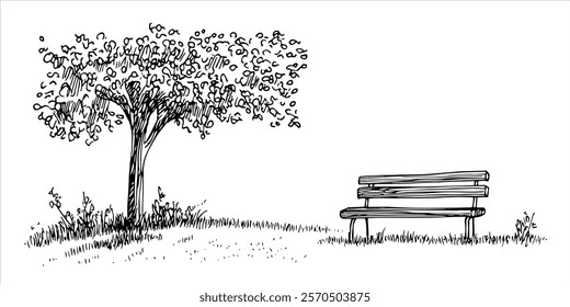 park bench under tree surrounded by grass hand-drawn illustration