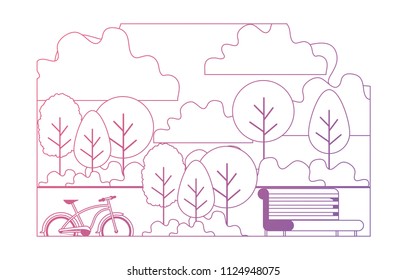 park with chair and bicycle scene