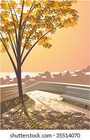 Park in evening sun of autumn where sea is seen