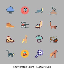 park icon set. vector set about animals, sled, lemur and animal kingdom icons set.