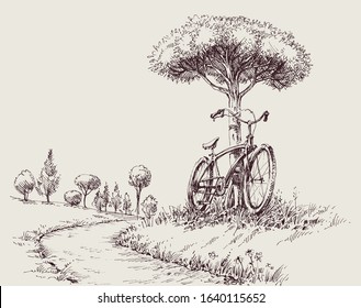 Park landscape sketch, an alley and a bike near a tree