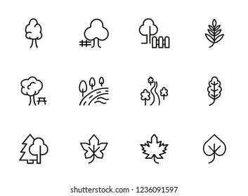 Park line icon set. Leaf, tree, oak, forest. Nature concept. Can be used for topics like countryside, hiking, ecology