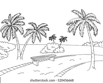 Park palm trees graphic art black white bench landscape sketch illustration vector