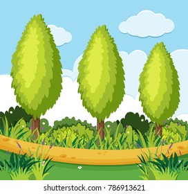 Park scene with pine trees along the road illustration
