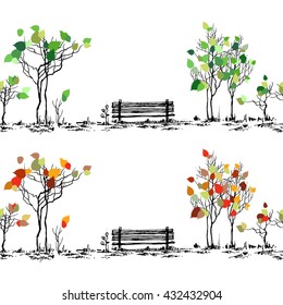 Park sketch. Bench and trees in different seasons