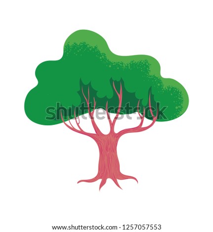 Park tree. Forest and garden landscape. Isolated illustartion