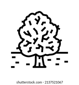 park tree line icon vector. park tree sign. isolated contour symbol black illustration