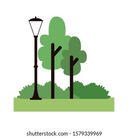 park with trees and street light over white background, colorful design , vector illustration