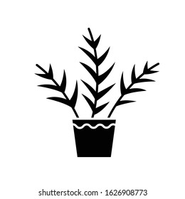 Parlor Palm Black Glyph Icon. Chamaedorea Elegans. Neanthe Bella Palm. Majesty Palm. Indoor Tropical Plant. Leafy Decorative Houseplant. Silhouette Symbol On White Space. Vector Isolated Illustration