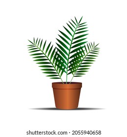 Parlor Palm Plant In A Pot Isolated On A White Background, Vector Illustration