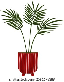 Parlor palm pot. Exotic houseplant. Home plant in flowerpot isolated on transparent background