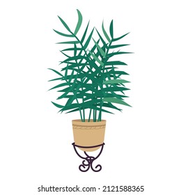 Palma de salón en cacerola objeto vector de color semiplano. Elemento de tamaño completo sobre blanco. Jardín de la casa. Planta de casa ornamental simple ilustración de estilo de caricatura para diseño gráfico web y animación