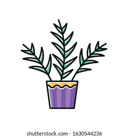 Parlor Palm RGB Color Icon. Chamaedorea Elegans. Neanthe Bella Palm. Majesty Palm. Indoor Tropical Plant. Leafy Decorative Houseplant. Natural Home, Office Decor. Isolated Vector Illustration