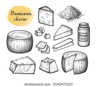 Parmesan cheese big set. Ink sketch isolated on white background. Hand drawn vector illustration. Vintage style stroke drawing.