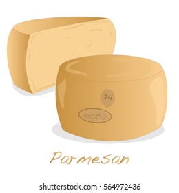 Parmesan cheese pieces isolated. Closeup of italian classic cuisine condiment.