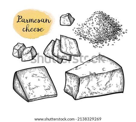 Parmesan cheese set. Ink sketch isolated on white background. Hand drawn vector illustration. Vintage style stroke drawing.