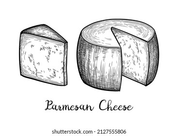 Parmesan cheese wheel and block. Ink sketch isolated on white background. Hand drawn vector illustration. Vintage style stroke drawing.