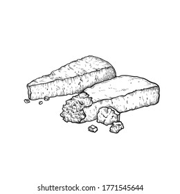 Parmesan (Parmegiano) cheese. Hand drawn sketch style drawing of traditional Italian hard cheese. Vector illustration isolated on white.