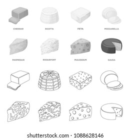 Parmesan, roquefort, maasdam, gauda.Different types of cheese set collection icons in outline,monochrome style vector symbol stock illustration web.