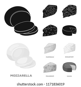 Parmesan, roquefort, maasdam, gauda.Different types of cheese set collection icons in black,monochrome style vector symbol stock illustration web.