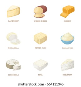 Parmesan, roquefort, maasdam, gauda.Different types of cheese set collection icons in cartoon style vector symbol stock illustration web.