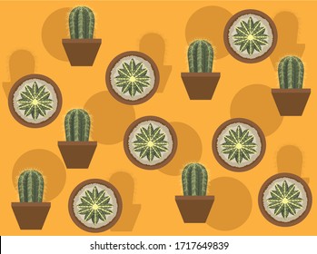 Parodia Magnifica Succulent Cactus Vector Seamless Background Wallpaper-01