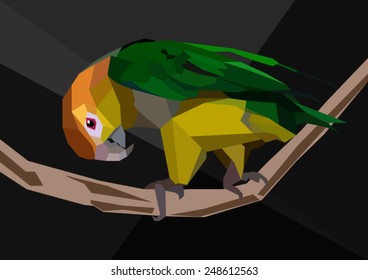 Parrot