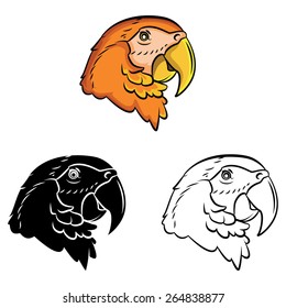 Parrot