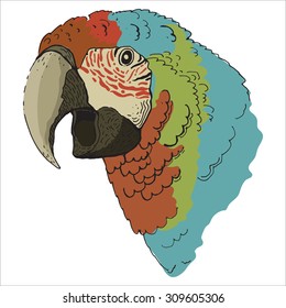 parrot