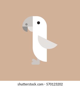 Parrot