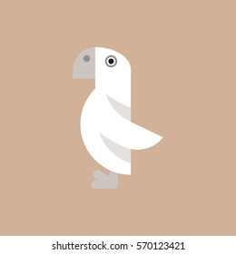 Parrot